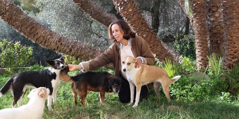 Noël des animaux au Monte-Carlo Bay