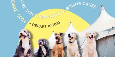 Illustration presse Visit Monaco